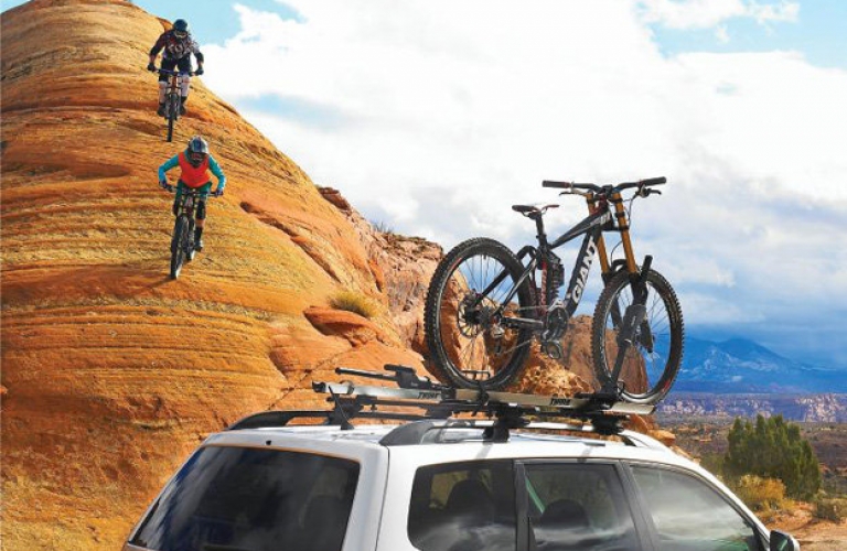 thule sidearm universal mount bike rack