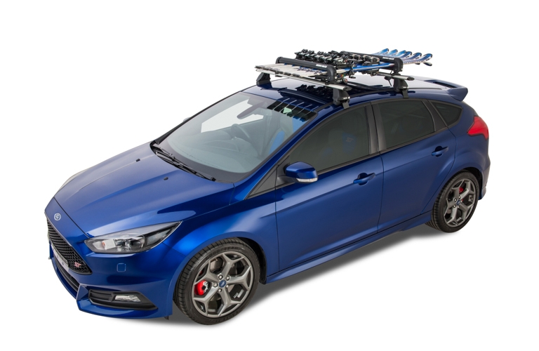 Rhino Ski Rack 6