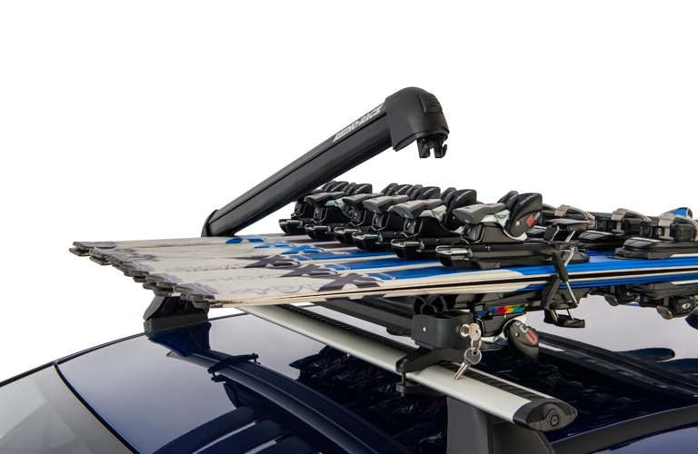 Rhino Ski Rack 6