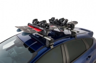 Rhino Ski Rack 6