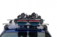 Rhino Ski Rack 6