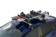 Rhino Ski Rack 6