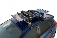 Rhino Ski Rack 6